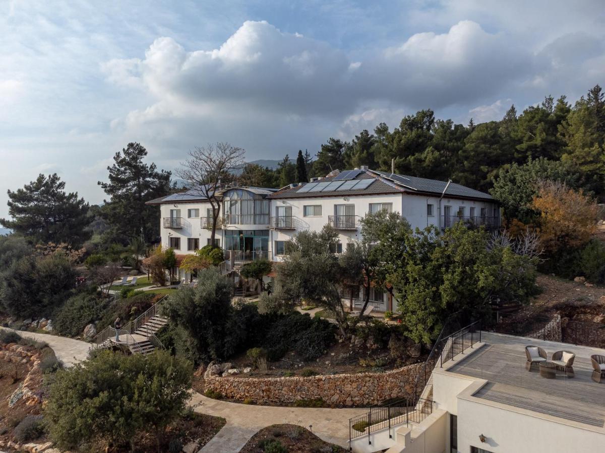 Amirey Hagalil Boutique Hotel Amirim Buitenkant foto