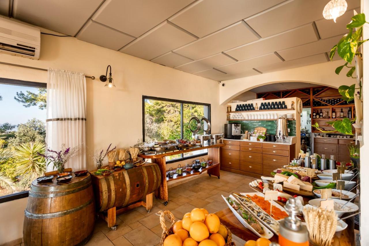 Amirey Hagalil Boutique Hotel Amirim Buitenkant foto