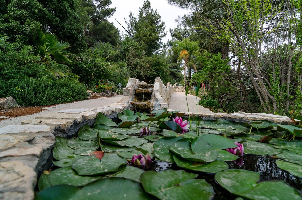 Amirey Hagalil Boutique Hotel Amirim Buitenkant foto