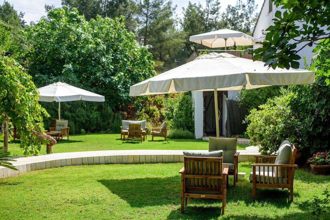 Amirey Hagalil Boutique Hotel Amirim Buitenkant foto